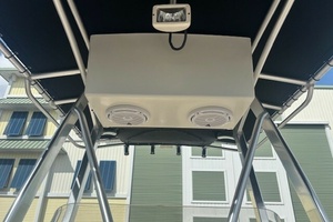 19ft Scout Yacht For Sale