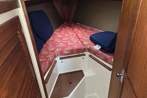 28ft Tartan Yacht For Sale