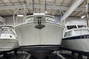 35ft Cabo Yacht For Sale