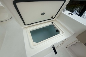 26ft World Cat Yacht For Sale