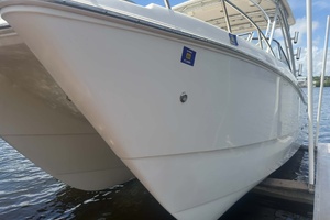 26ft World Cat Yacht For Sale