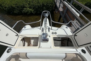 26ft World Cat Yacht For Sale