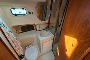 Half Full II 39ft Mainship Yacht For Sale