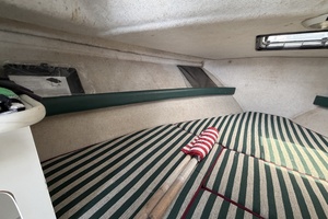 NO NAME 24ft Pursuit Yacht For Sale