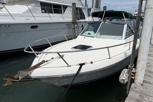NO NAME 24ft Pursuit Yacht For Sale
