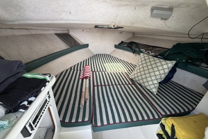 NO NAME 24ft Pursuit Yacht For Sale
