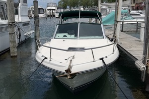 NO NAME 24ft Pursuit Yacht For Sale