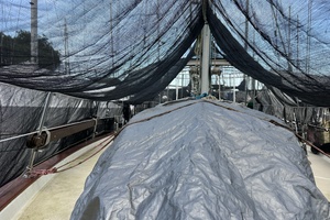 Sweet Emotion 42ft Endeavour Yacht For Sale