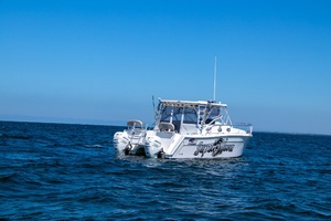 65ft Sumerset Yacht For Sale