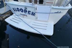 Blooper 40ft Mainship Yacht For Sale