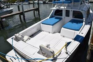 RAMPAGE 31ft Bertram Yacht For Sale