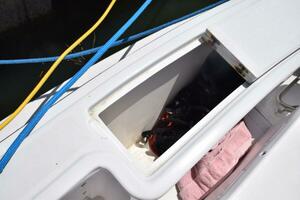 RAMPAGE 31ft Bertram Yacht For Sale