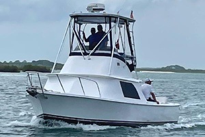 RAMPAGE 31ft Bertram Yacht For Sale
