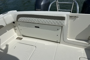 28ft World Cat Yacht For Sale