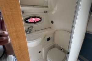 29ft Chaparral Yacht For Sale