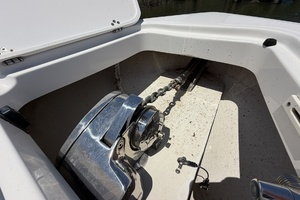 Payne Killer 36ft Edgewater Yacht For Sale