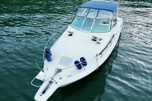 31ft Carver Yacht For Sale