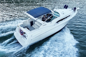 31ft Carver Yacht For Sale
