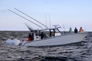 43FT (13.11M) FREEMAN