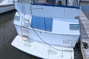 41ft Sea Ray Yacht For Sale