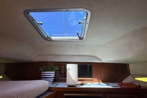 41ft Sea Ray Yacht For Sale