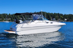 CHEERS 27ft Sea Ray Yacht For Sale