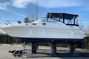 CHEERS 27ft Sea Ray Yacht For Sale