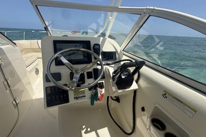 25ft World Cat Yacht For Sale
