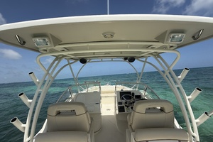 25ft World Cat Yacht For Sale