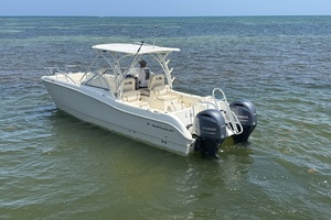 25ft World Cat Yacht For Sale
