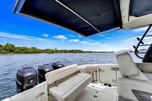 35FT (10M) BOSTON WHALER