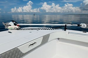 33FT (10M) INVINCIBLE