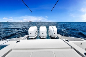 40FT (12M) PURSUIT