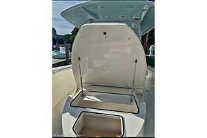 Photo 7231707 for 2020 Cobia 350 Center Console Dancin' A Jig 