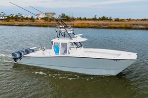 37FT (11M) FREEMAN