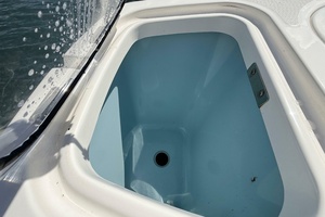 42FT (12M) BOSTON WHALER