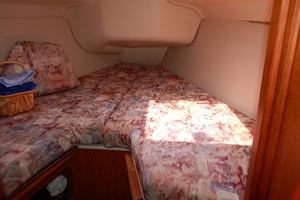 Boy On A Dolphin 34ft Hunter Yacht For Sale