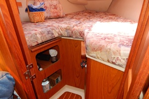Boy On A Dolphin 34ft Hunter Yacht For Sale