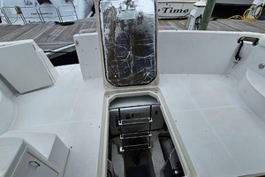 45ft Carver Yacht For Sale