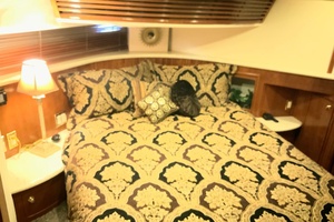 CHILLIN THE MOST 45ft Carver Yacht For Sale