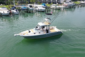 Island Girl 30ft Luhrs Yacht For Sale
