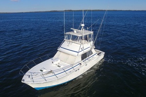 42ft Bertram Yacht For Sale