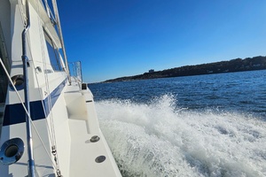 42ft Bertram Yacht For Sale