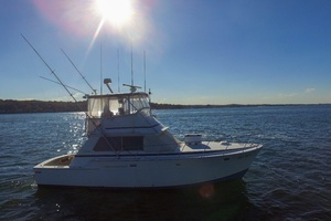 42ft Bertram Yacht For Sale