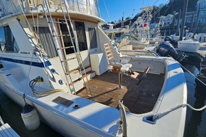 42ft Bertram Yacht For Sale