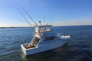 42ft Bertram Yacht For Sale