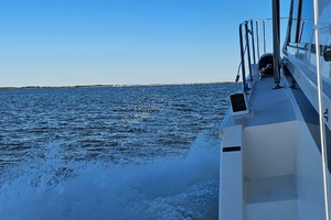 42ft Bertram Yacht For Sale
