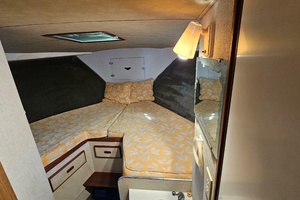 42ft Bertram Yacht For Sale