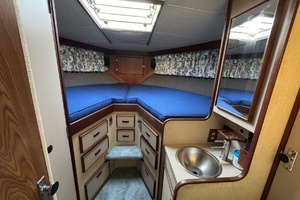 Fisha Tractor 38ft Bertram Yacht For Sale