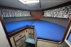 Fisha Tractor 38ft Bertram Yacht For Sale